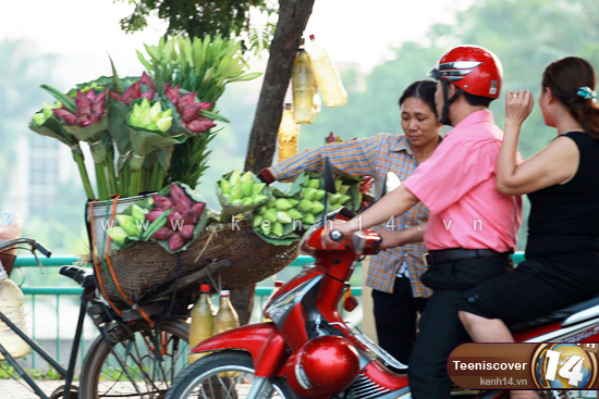 Hoa dừa cạn rủ, hoa dua can ru, hoa Tết, hoa Tet, hạt giống hoa, hoa treo, dạ yến thảo, hoa treo ban công, hạt giống hoa oải hương, bán hạt giống hoa oải hương, hat giong hoa oai huong, hạt giống  chất lượng cao, hat giong hoa , hat giong hoa chat luong cao, hoa trong tham, hoa trong chau,